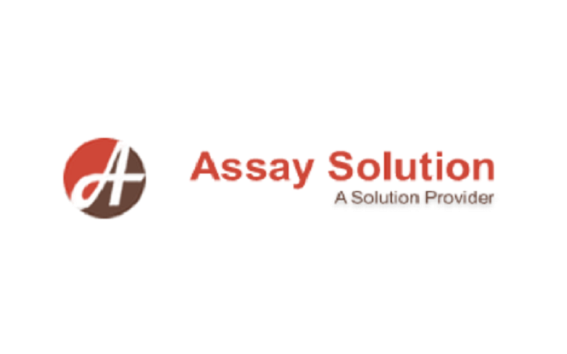 Assay Solution社