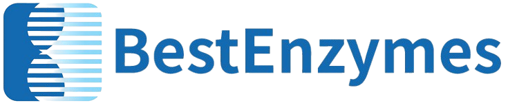 BestEnzymes Logo.png