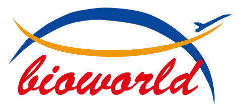 Biworld Logo.png