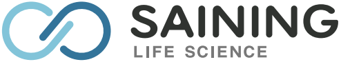 SAINING Logo.png