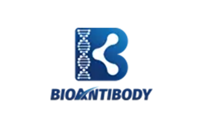 Bioantibody社　　　　　　　　　　　　　　　　　　　　　　　　　　　　　　　　　　　　　　　　　　　　　　　　中国